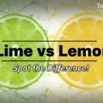 Lime vs Lemon