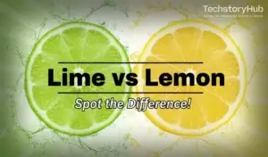 Lime vs Lemon